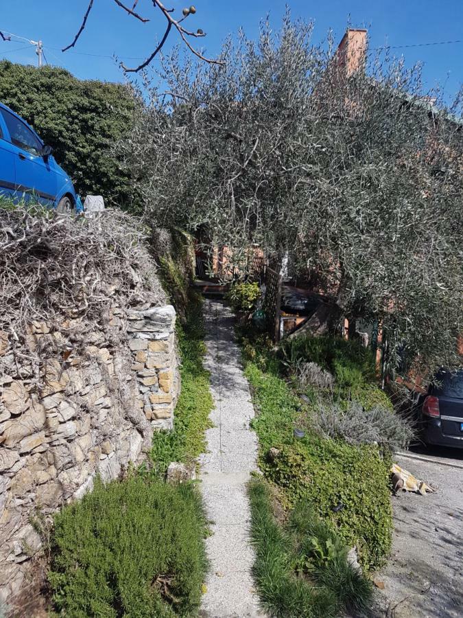 Piccolo Rifugio Nel Verde Chiusavecchia Bagian luar foto